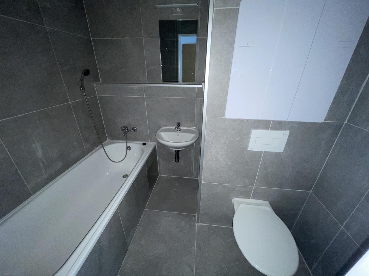 Pronájem bytu 1+kk, 26 m² obrázek