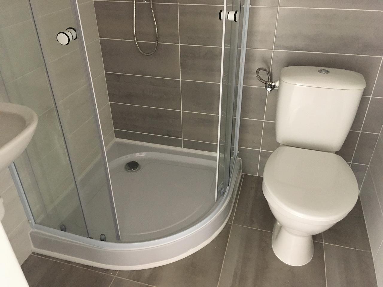 Pronájem bytu 1+1, 31 m² obrázek