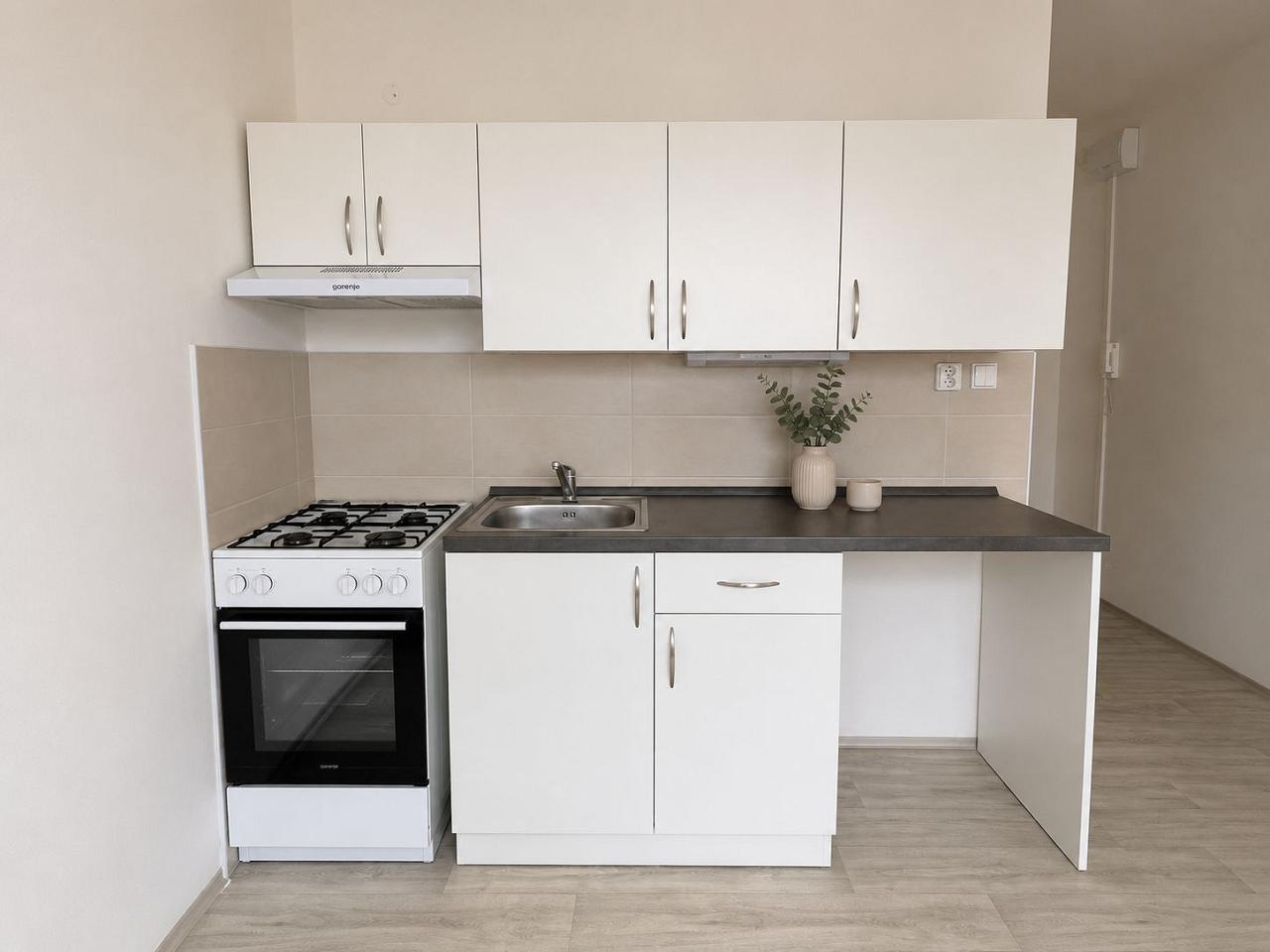 Pronájem bytu 1+1, 37 m² obrázek