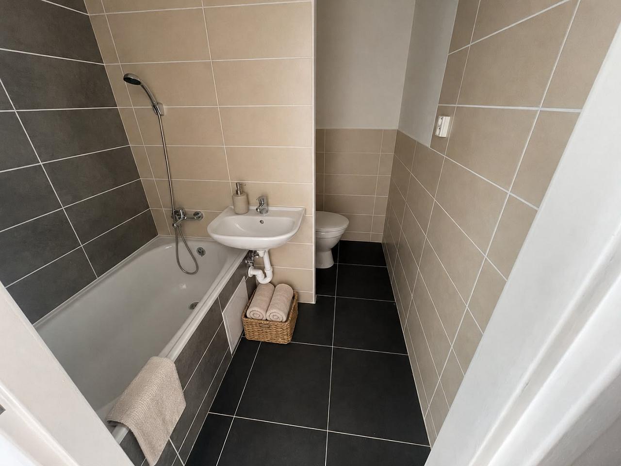 Pronájem bytu 1+1, 37 m² obrázek