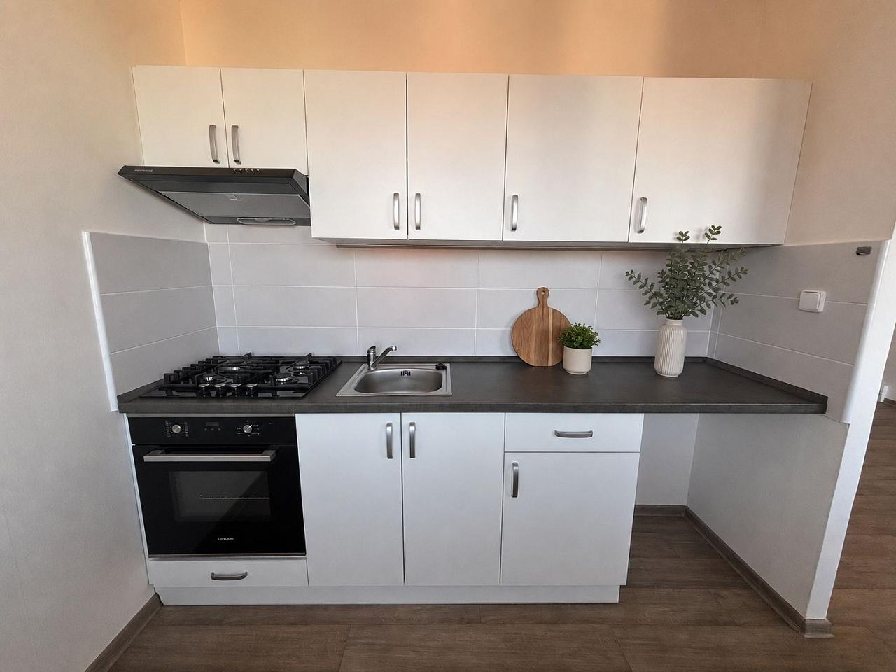 Pronájem bytu 1+1, 48 m² obrázek