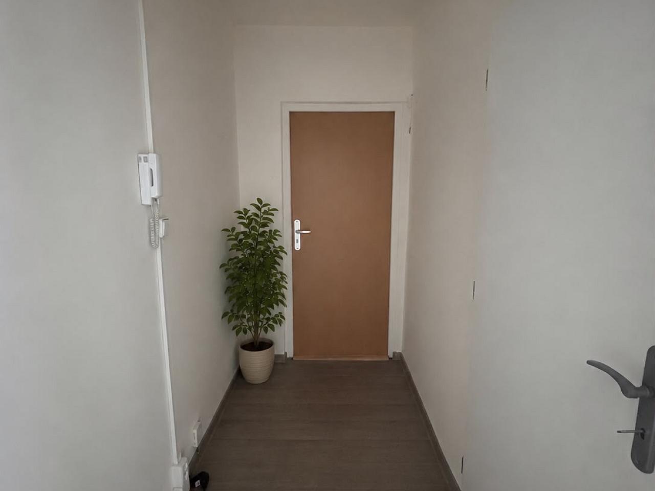 Pronájem bytu 1+1, 48 m² obrázek