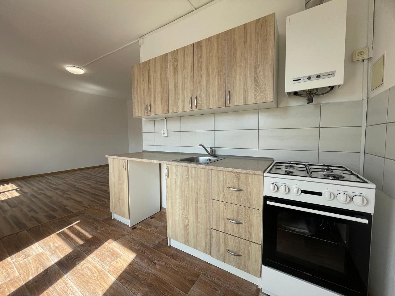 Pronájem bytu 2+1, 53 m² obrázek