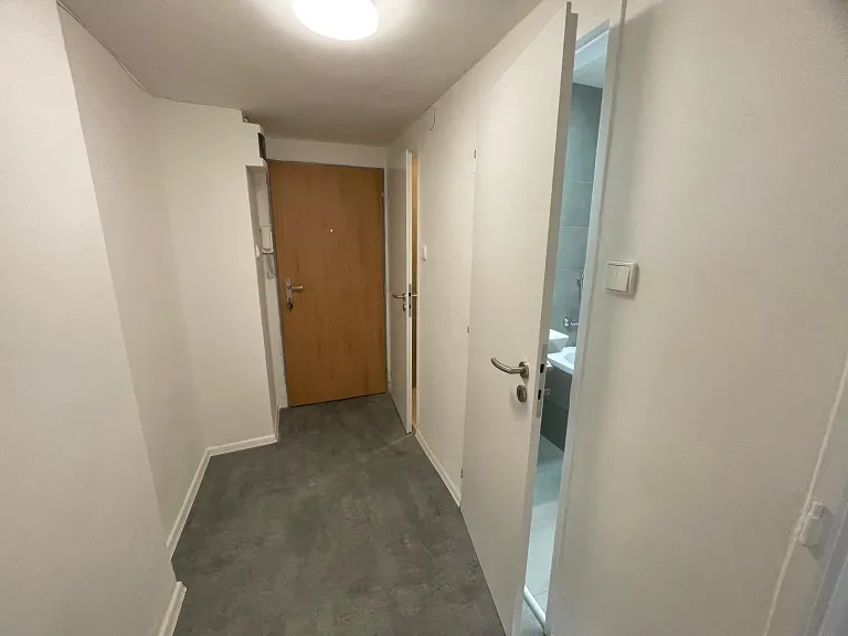 Pronájem bytu 2+1, 51 m² obrázek