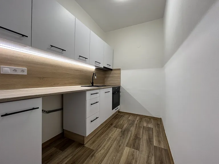 Pronájem bytu 1+1, 49 m² obrázek