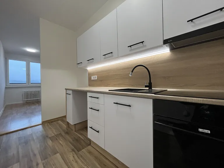 Pronájem bytu 1+1, 49 m² obrázek