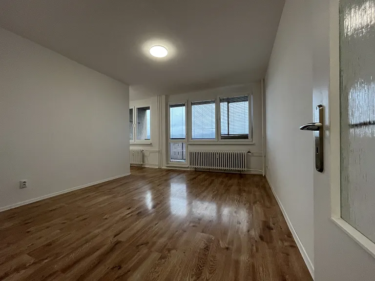 Pronájem bytu 1+1, 49 m² obrázek