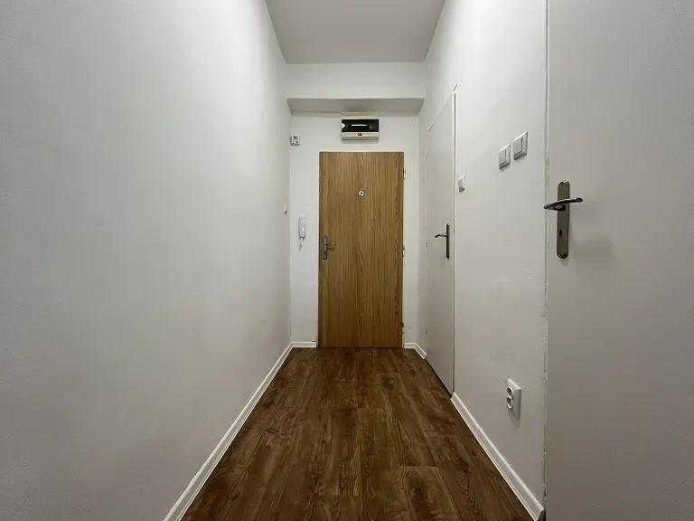 Pronájem bytu 1+1, 49 m² obrázek