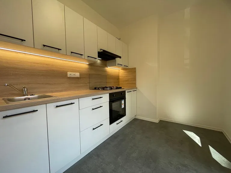 Pronájem bytu 2+1, 53 m² obrázek