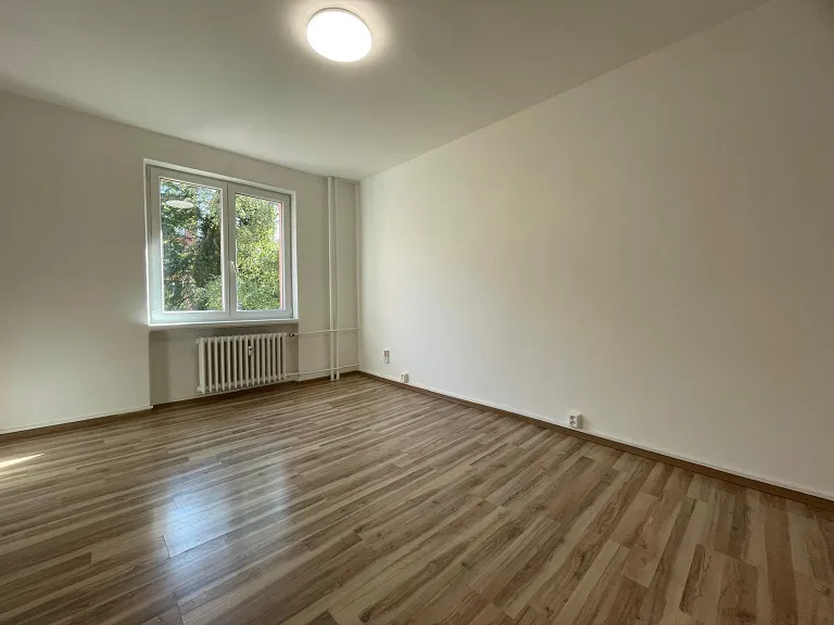 Pronájem bytu 2+1, 53 m² obrázek