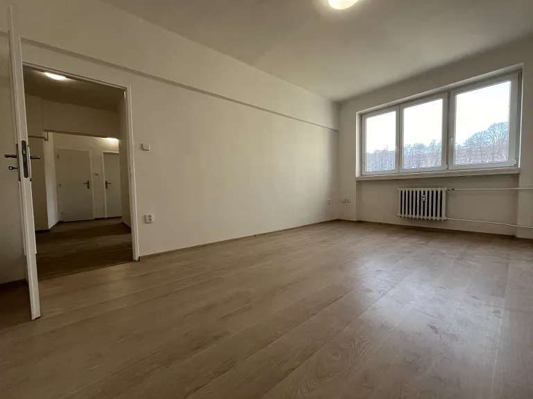 Pronájem bytu 2+1, 64 m² obrázek