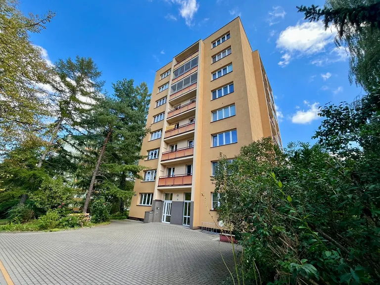 Prodej bytu 2+1, 56 m² obrázek