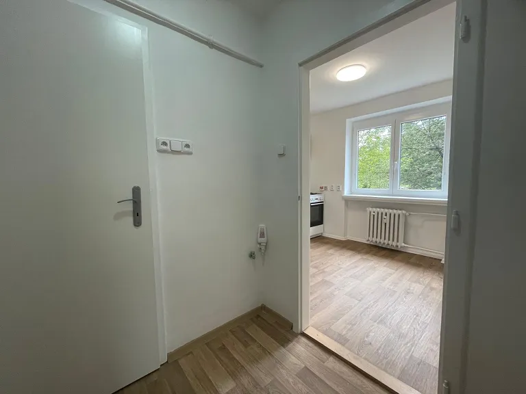 Pronájem bytu 1+1, 29 m² obrázek