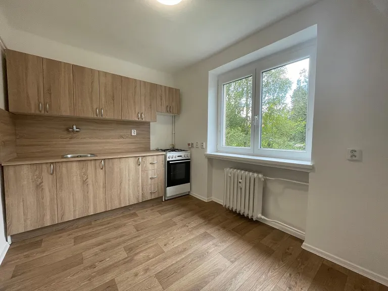 Pronájem bytu 1+1, 29 m² obrázek