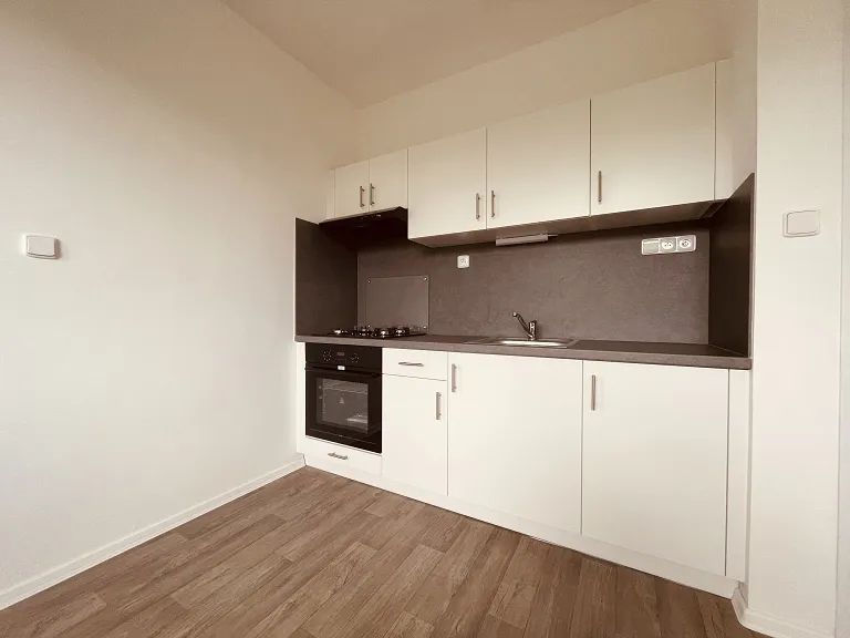 Pronájem bytu 1+1, 35 m² obrázek