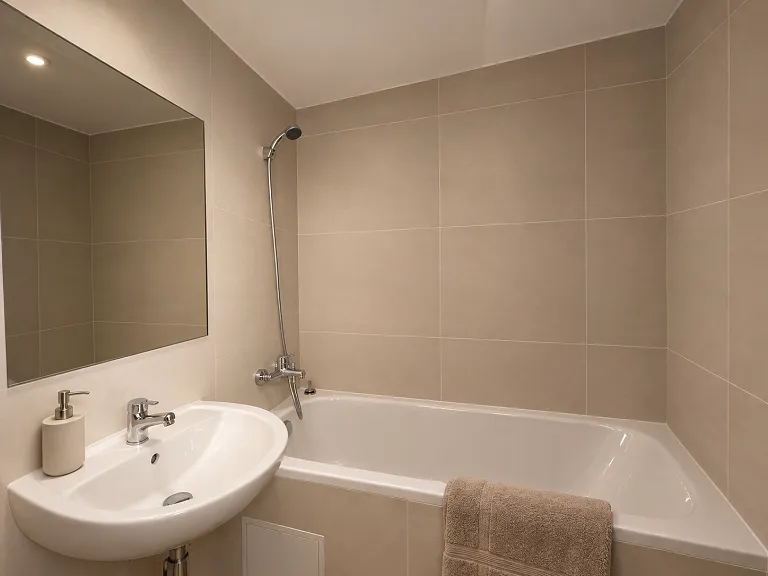 Pronájem bytu 2+1, 53 m² obrázek