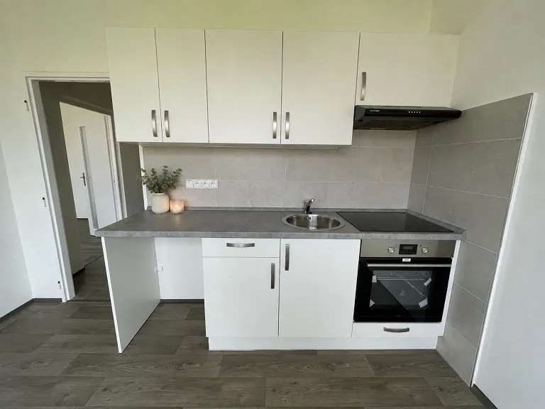 Pronájem bytu 1+1, 42 m² obrázek