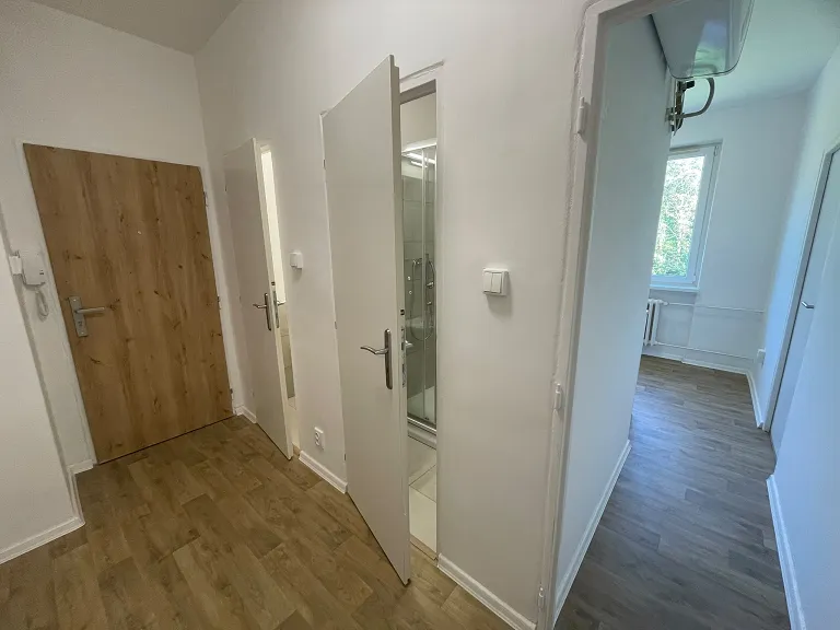Pronájem bytu 2+1, 56 m² obrázek