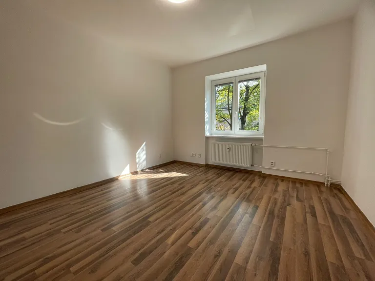 Pronájem bytu 2+1, 55 m² obrázek