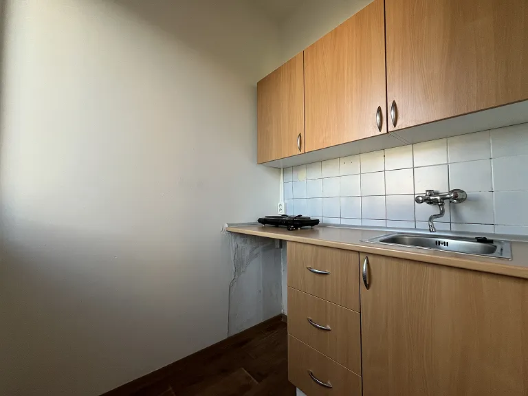 Pronájem bytu 1+1, 32 m² obrázek
