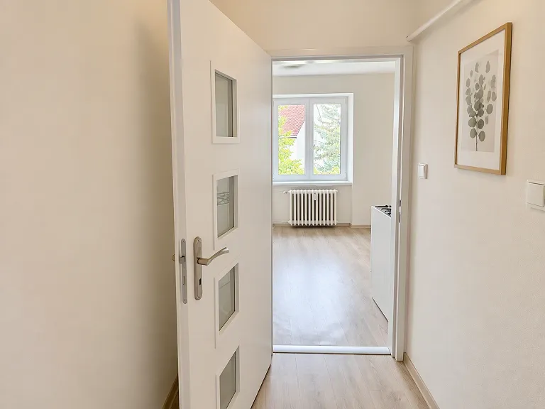 Pronájem bytu 1+1, 30 m² obrázek