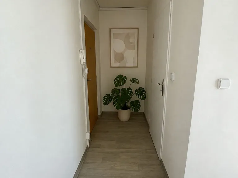 Pronájem bytu 1+kk, 36 m² obrázek