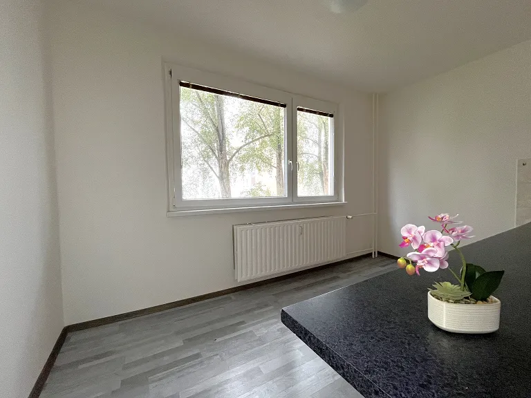Pronájem bytu 3+1, 67 m² obrázek