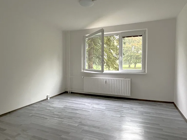 Pronájem bytu 3+1, 67 m² obrázek