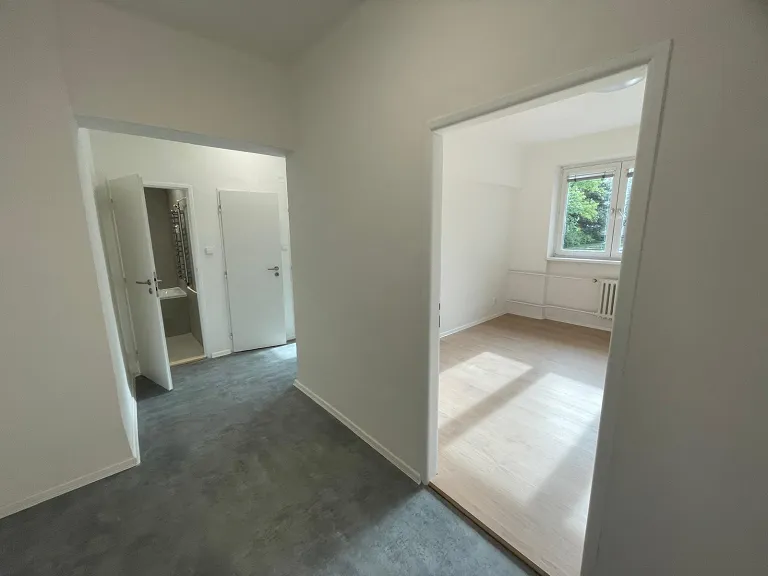 Pronájem bytu 2+1, 59 m² obrázek