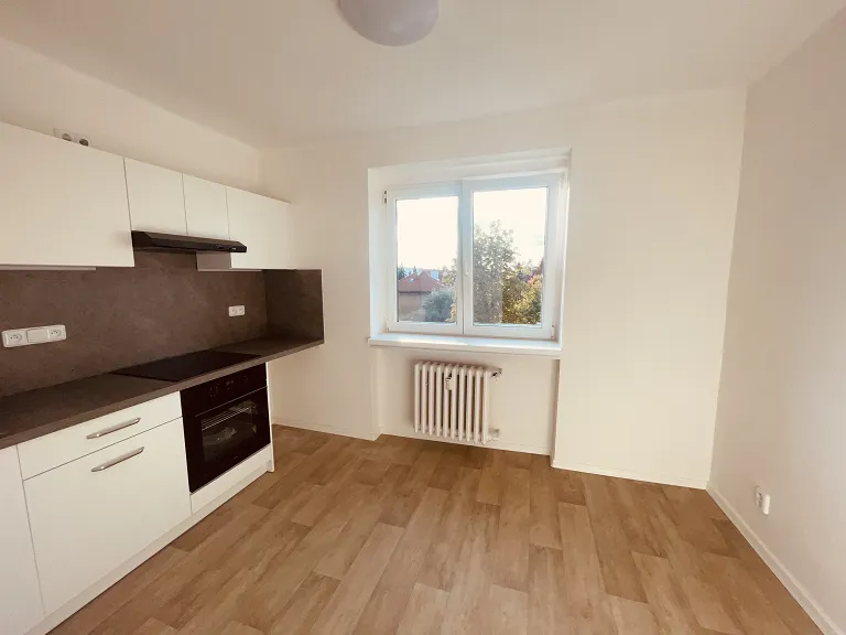 Pronájem bytu 1+1, 32 m² obrázek