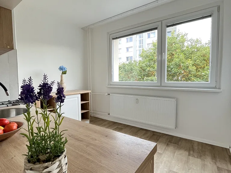 Pronájem bytu 2+1, 59 m² obrázek