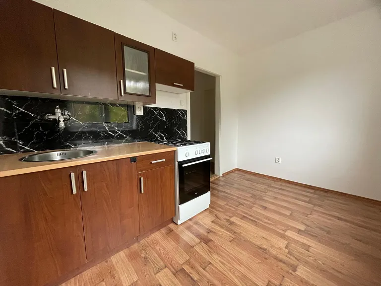 Pronájem bytu 1+1, 30 m² obrázek