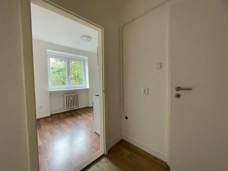 Pronájem bytu 1+1, 30 m² obrázek
