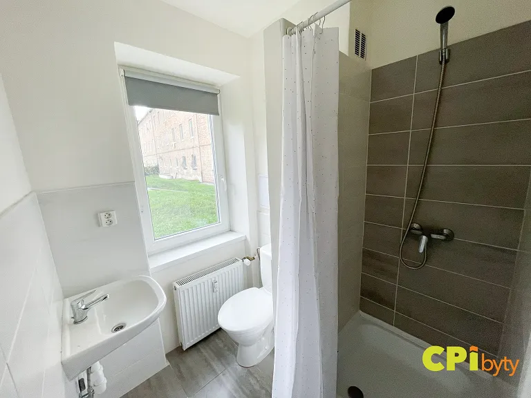 Pronájem bytu 1+1, 29 m² obrázek