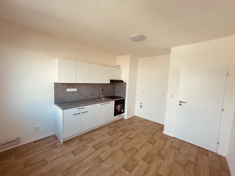 Pronájem bytu 1+1, 41 m² obrázek