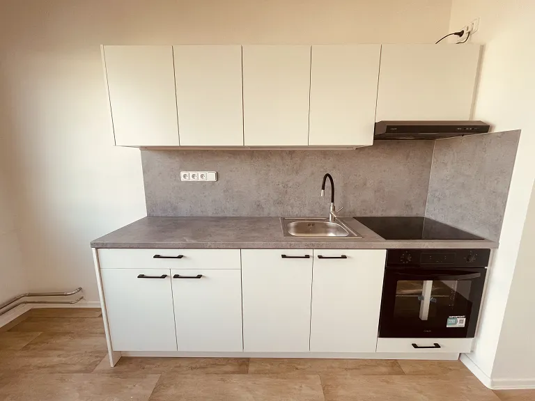 Pronájem bytu 1+1, 41 m² obrázek