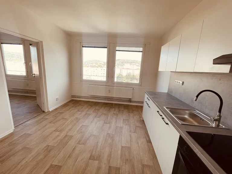 Pronájem bytu 1+1, 41 m² obrázek