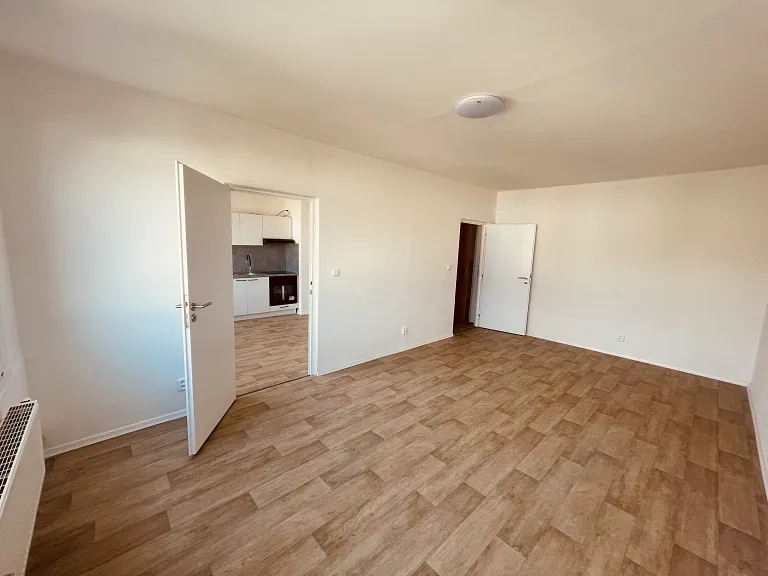 Pronájem bytu 1+1, 41 m² obrázek