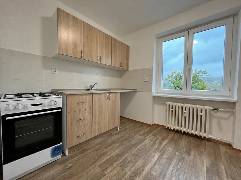 Pronájem bytu 1+1, 30 m² obrázek