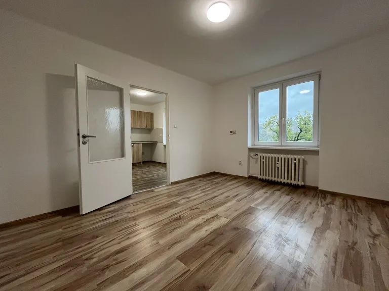 Pronájem bytu 1+1, 30 m² obrázek