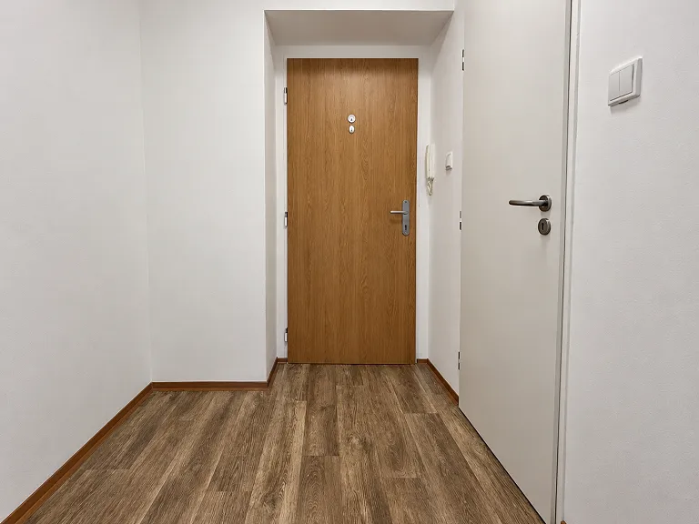Pronájem bytu 1+1, 30 m² obrázek