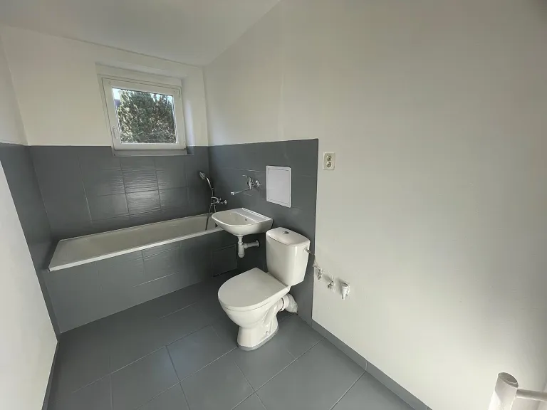 Pronájem bytu 2+1, 56 m² obrázek