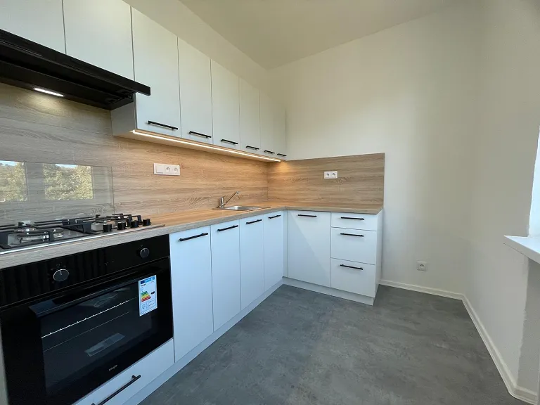 Pronájem bytu 2+1, 54 m² obrázek