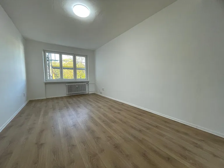 Pronájem bytu 2+1, 54 m² obrázek