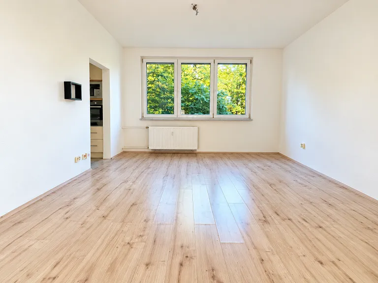 Prodej bytu 3+1, 71 m² obrázek