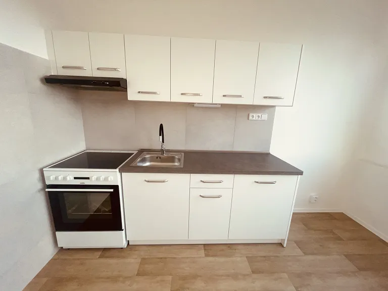 Pronájem bytu 1+1, 41 m² obrázek