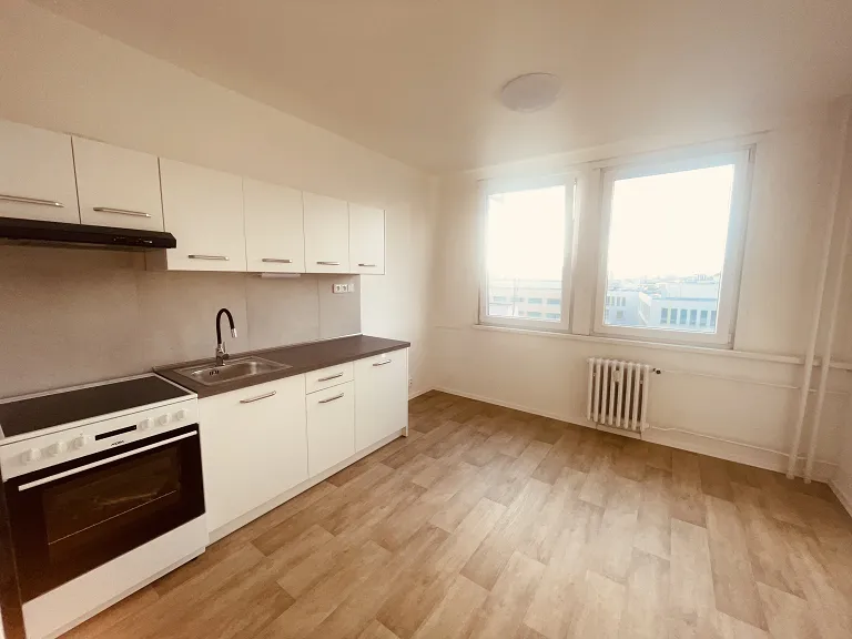 Pronájem bytu 1+1, 41 m² obrázek