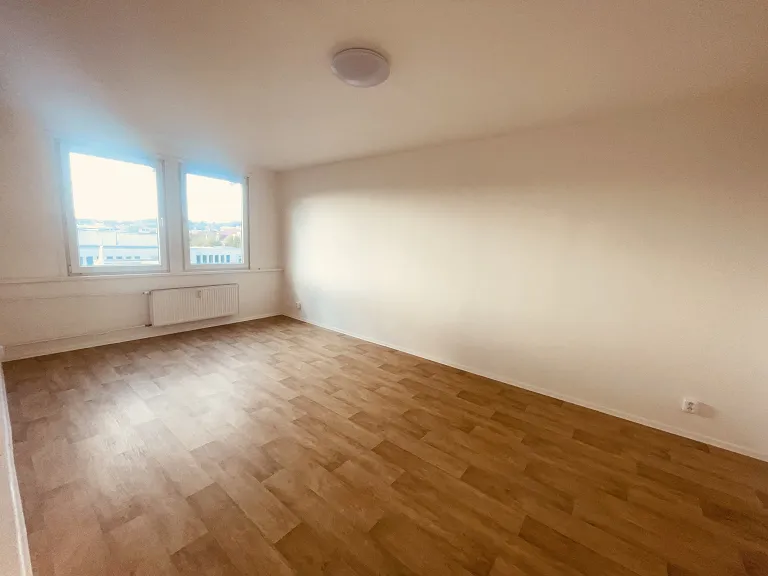 Pronájem bytu 1+1, 41 m² obrázek