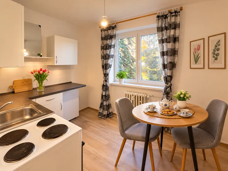 Pronájem bytu 1+1, 31 m² obrázek