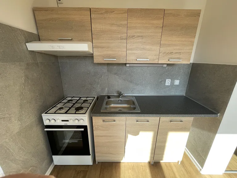Pronájem bytu 1+1, 38 m² obrázek